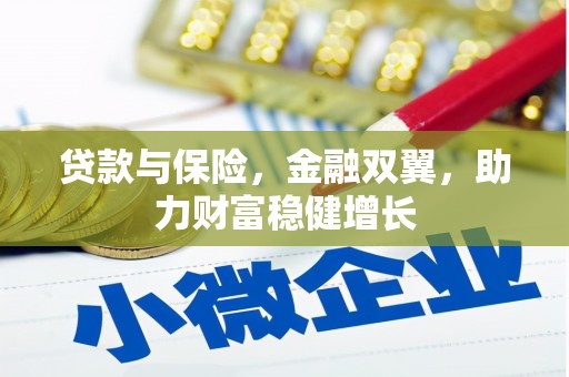 新民贷款与保险，金融双翼，助力财富稳健增长