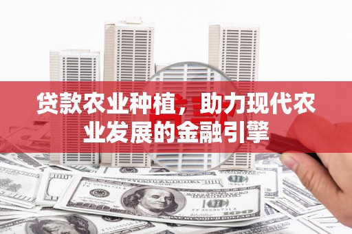新民贷款农业种植，助力现代农业发展的金融引擎