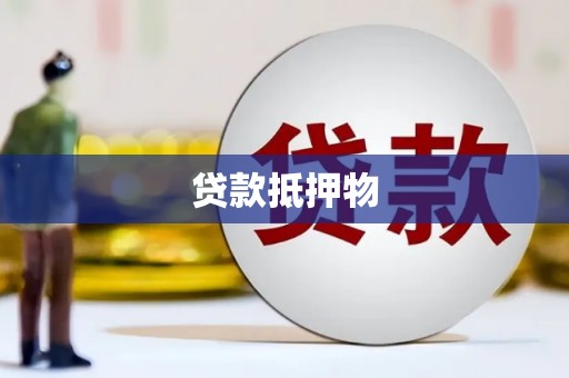 新民贷款抵押物