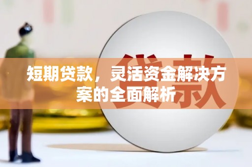 新民短期贷款，灵活资金解决方案的全面解析