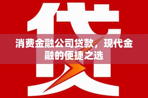 新民消费金融公司贷款，现代金融的便捷之选