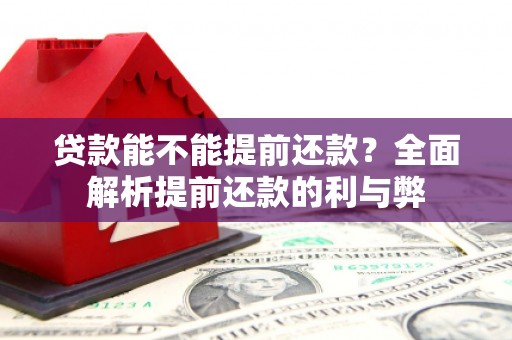 新民贷款能不能提前还款？全面解析提前还款的利与弊