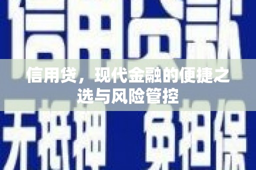 新民信用贷，现代金融的便捷之选与风险管控