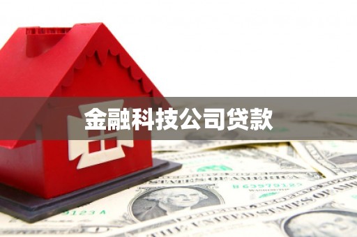 新民金融科技公司贷款