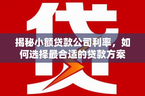新民揭秘小额贷款公司利率，如何选择最合适的贷款方案