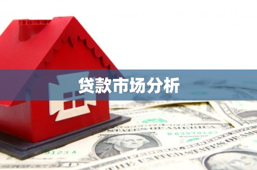 新民贷款市场分析