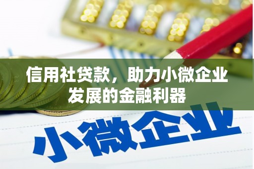 新民信用社贷款，助力小微企业发展的金融利器