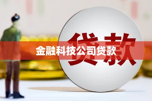 新民金融科技公司贷款