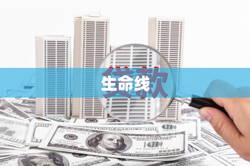 新民生命线