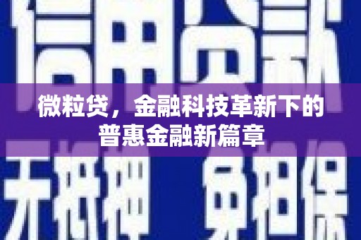 新民微粒贷，金融科技革新下的普惠金融新篇章
