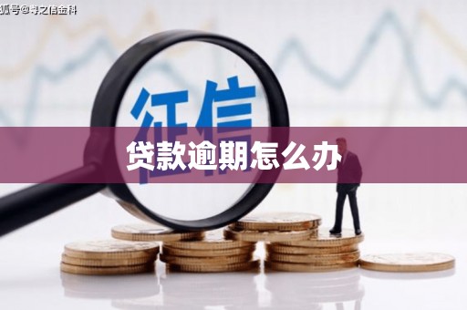 新民贷款逾期怎么办