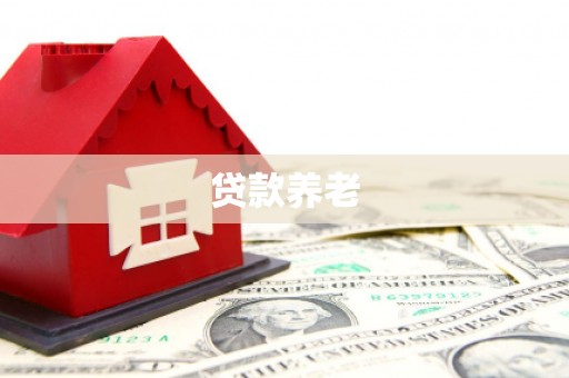 新民贷款养老