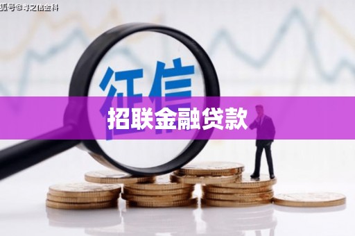 新民招联金融贷款