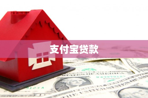 新民支付宝贷款