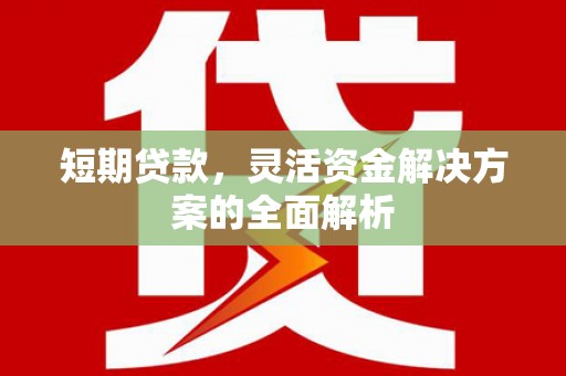 新民短期贷款，灵活资金解决方案的全面解析