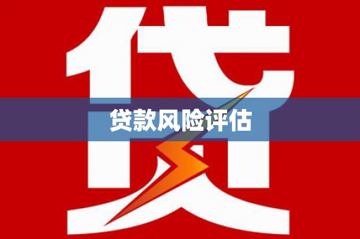 新民贷款风险评估