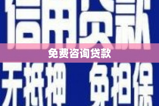 新民免费咨询贷款