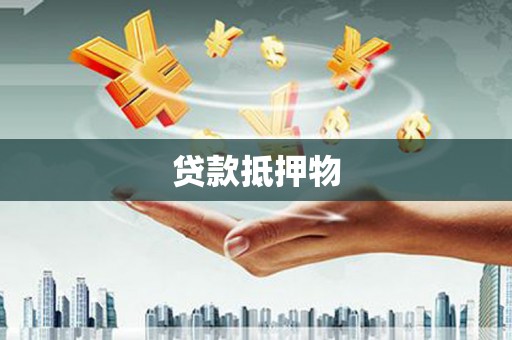 新民贷款抵押物