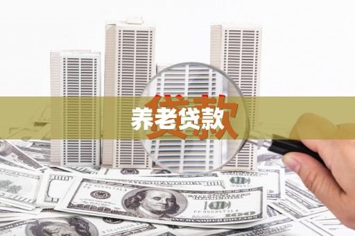 新民养老贷款