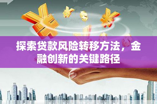 新民探索贷款风险转移方法，金融创新的关键路径