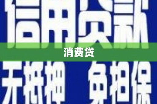 新民消费贷