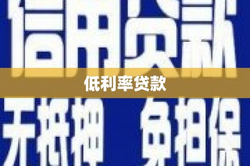 新民低利率贷款