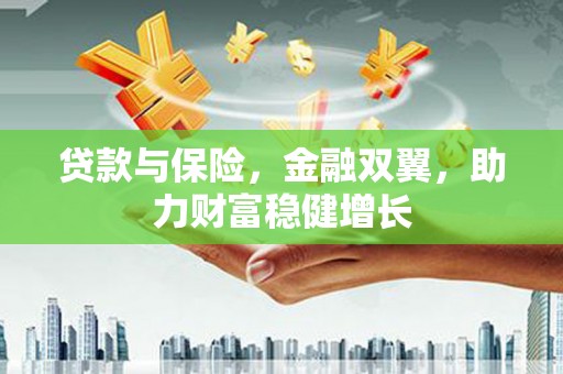 新民贷款与保险，金融双翼，助力财富稳健增长