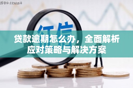 新民贷款逾期怎么办，全面解析应对策略与解决方案