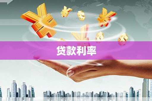 新民贷款利率
