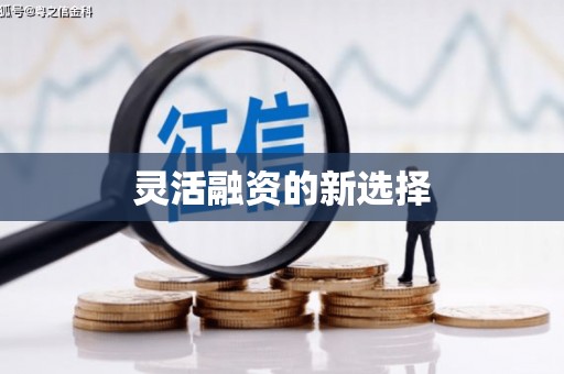 新民灵活融资的新选择