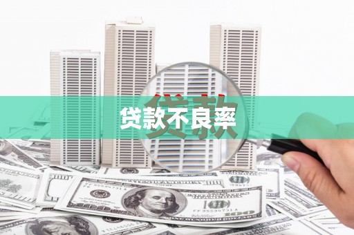 新民贷款不良率
