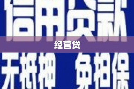 新民经营贷