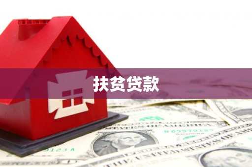 新民扶贫贷款