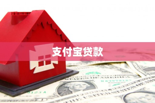 新民支付宝贷款
