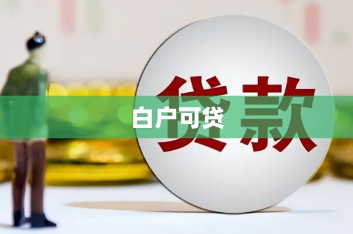 新民白户可贷