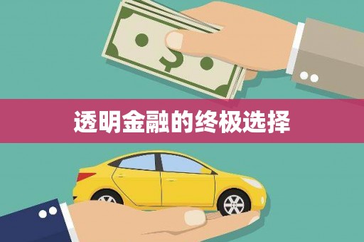 新民透明金融的终极选择