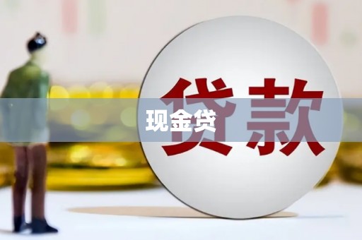 新民现金贷