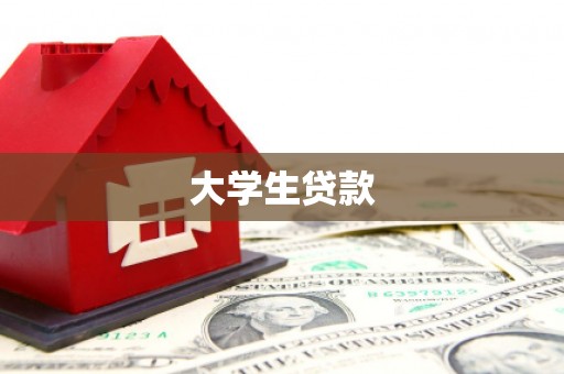 新民大学生贷款