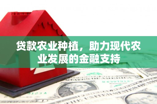 新民贷款农业种植，助力现代农业发展的金融支持