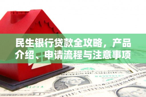 新民民生银行贷款全攻略，产品介绍、申请流程与注意事项